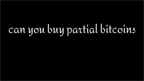can you buy partial bitcoins