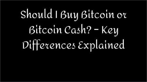 Should I Buy Bitcoin or Bitcoin Cash? – Key Differences Explained