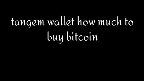 tangem wallet how much to buy bitcoin