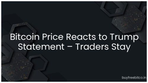 Bitcoin Price Reacts to Trump Statement – Traders Stay Cautious