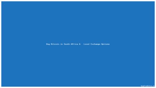 Buy Bitcoin in South Africa – Local Exchange Options