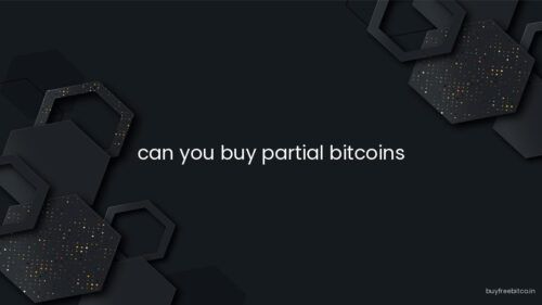 can you buy partial bitcoins