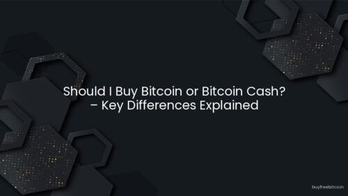 Should I Buy Bitcoin or Bitcoin Cash? – Key Differences Explained