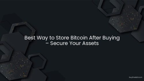 Best Way to Store Bitcoin After Buying – Secure Your Assets